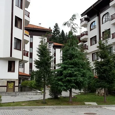 Sdl Flora Borovets