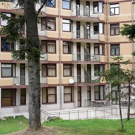 Sdl Flora Borovets