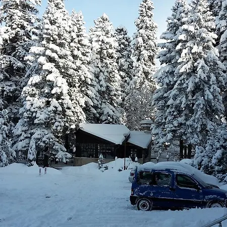Sdl Flora Borovets